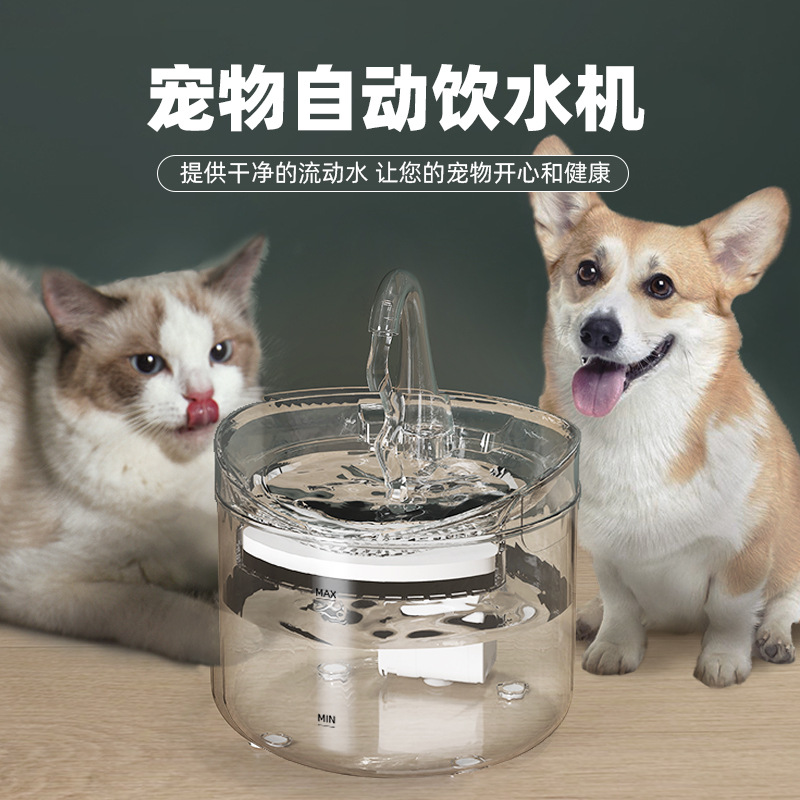 宠物饮水机自动循环过滤猫咪饮水机智能宠物喂水器流动水小猫