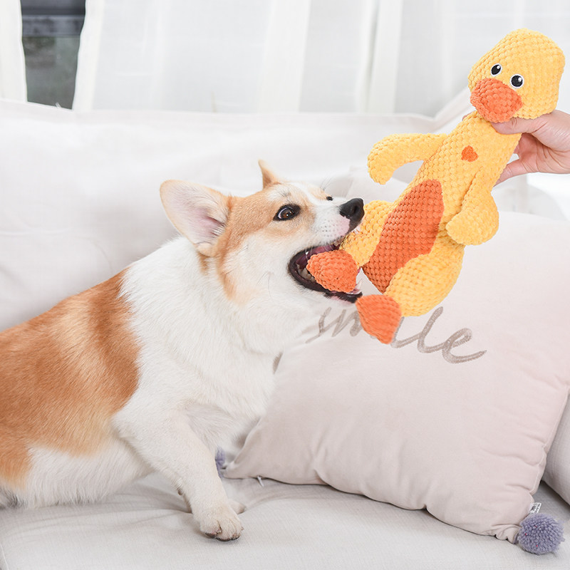 狗狗磨牙耐咬毛绒发声玩具泰迪金毛中小型犬宠物解压发泄玩具用品,宠物/宠物食品及用品,套装玩具,淘宝优惠券,粉丝福利购,淘宝优惠卷
