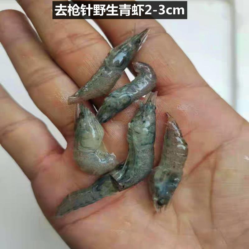 包邮去粘液泥鳅段麦穗鱼河虾冻林蛙发色鱼食龙鱼虎鱼魟鱼乌龟饲料
