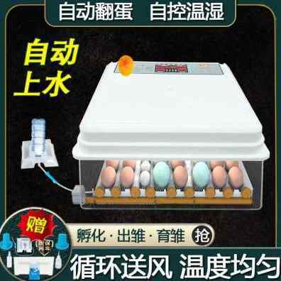 极速厂销新品孵化小鸡的机器鸡蛋孵化器全自动温控芦丁鸡智能孵蛋