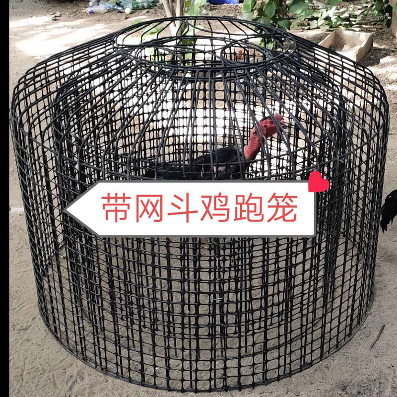 斗鸡罩笼斗鸡专用笼子双层跑笼提笼斗鸡训练笼鸡笼狗笼折叠组装