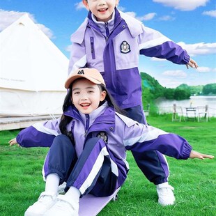 极速小学生校服秋冬装 儿童班服秋 冲锋衣运动服幼儿园园服紫色套装