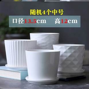 玫瑰花专用花盆北欧现代简约种草莓的花盆陶瓷客厅朱顶红用带托盘