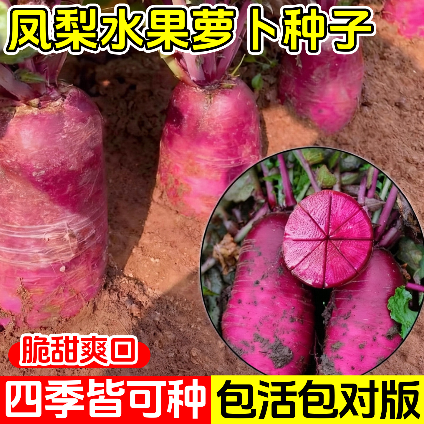 凤梨水果萝卜种大全红皮红心萝卜