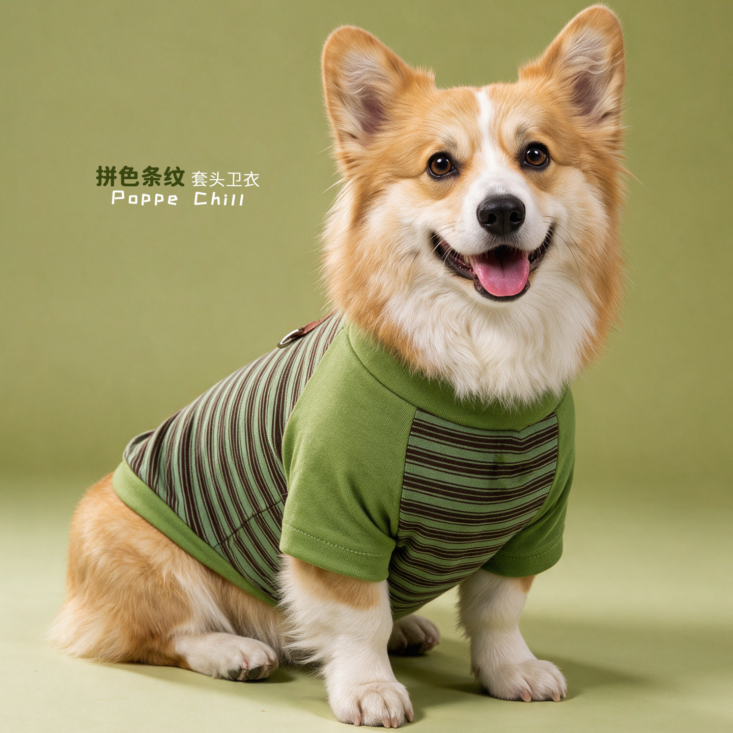 【1-85斤】秋冬加绒宠物狗狗衣服