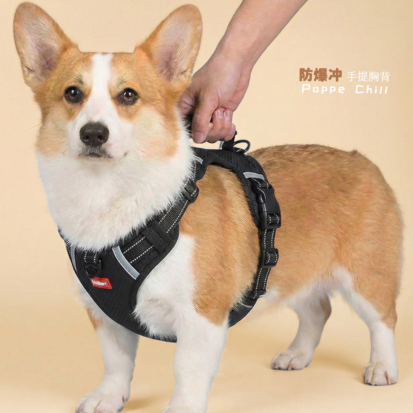 遛狗狗牵引绳中小大型犬宠物胸背心式专用柯基防爆冲边牧拉布拉多