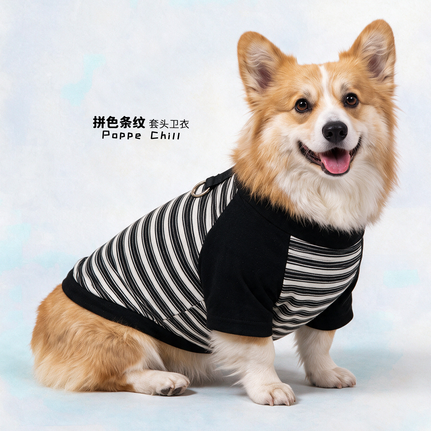 【1-85斤】秋冬加绒宠物狗狗衣服