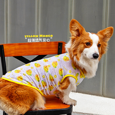【超薄透气】狗狗背心2件九折