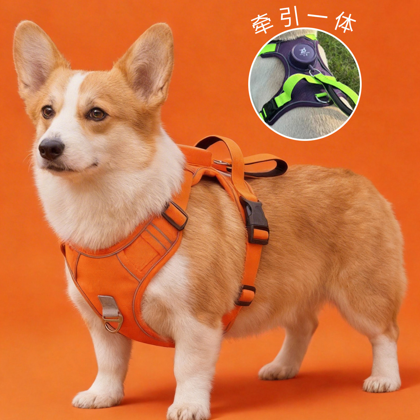 遛狗狗牵引绳自动伸缩中小大型犬宠物胸背心式专用柯基防爆冲工字