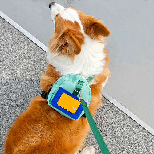狗绳遛狗牵狗中小型犬背心式胸背带牵引绳工字型宠物柴犬柯基比熊