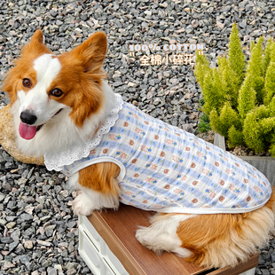 宠物防晒衣狗狗衣服柯基凉凉衣纯棉夏天日季中小型犬2025新款薄款