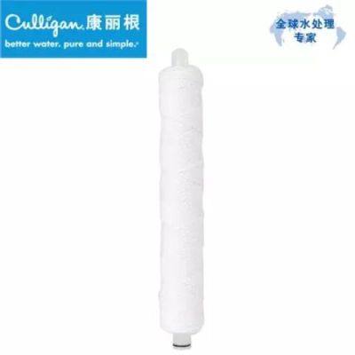 美国康丽根净水器ac30滤芯家用厨房RO反渗透纯水机直饮水机AC-30