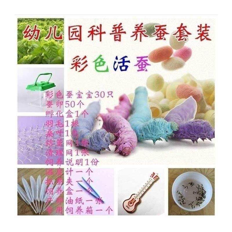 蚕宝宝专用饲养箱养蚕清洁防水保温箱存活加长房子大小移动式