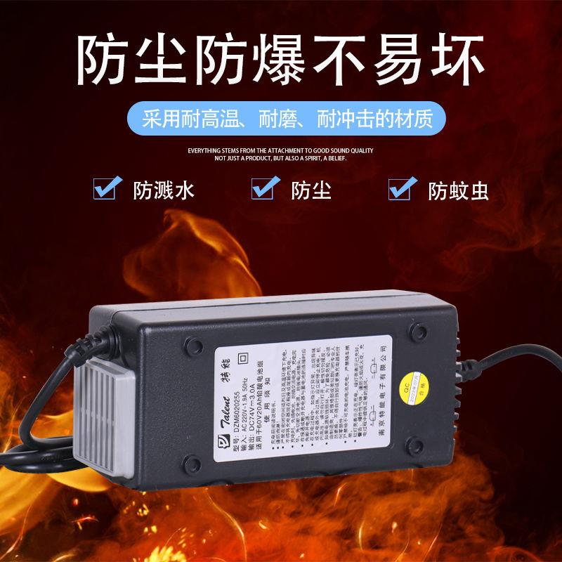 南京特能充电器新款48v60v20ah64v72v96v智能断电大功率原装专用