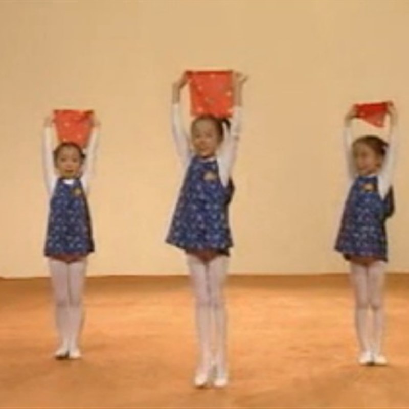 包邮北京舞蹈学院中国舞二级考级道具半蹲纱手绢舞蹈手绢考级专用