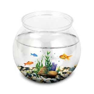 Plastic Bubble Fish Bowl Ivy Bowls Round Transparent Fish Ta