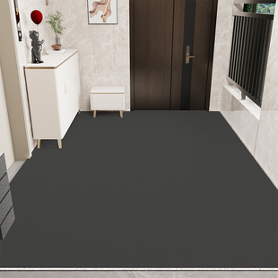 电梯地垫入户门垫一梯一户门口专用进门脚垫门外室内换鞋丝圈地毯