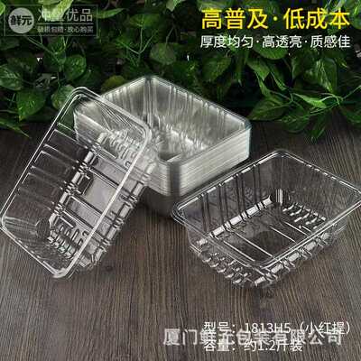 直销新款一次性PET水果盒无盖水果包装盒1813H4塑料透明生鲜托盘