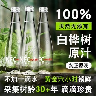 天然白桦树汁NFC100%原液白桦林原汁水人参水植物饮料官方旗舰店