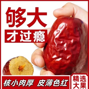 红枣新疆和田大枣特级当季 新货骏枣一级大枣子小吃零食干果