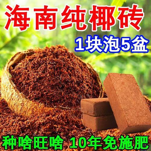 高泡发无菌脱盐椰砖营养土