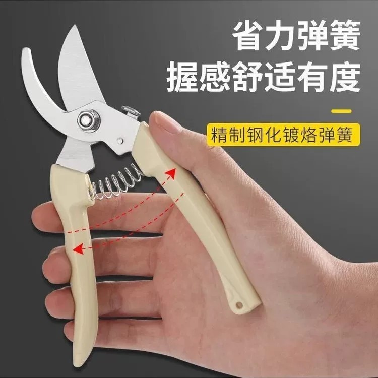 手工园艺修枝剪果树花木剪刀图片