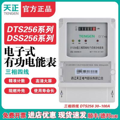 TENGEN天正DTS256电子表DSS256三线三相四线电子式有功电能表新型