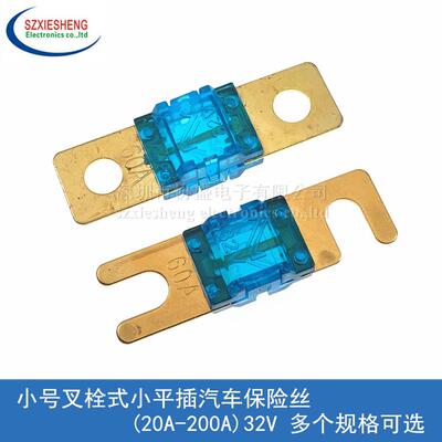 小号叉栓式小平插汽车保险丝 100A 120A 125A 150A 175A 200A 32V