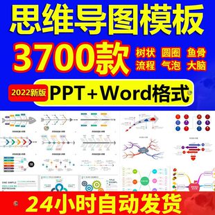 思维导图PPT模板制作代画流程图数据图表word可视化信息图鱼骨图