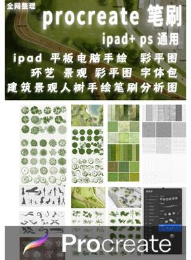 procreate平板iPad笔刷景观植物立面平面材质铺装彩平图手绘环艺