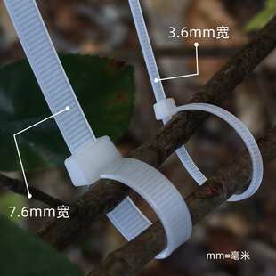 国标扎带尼龙8 650mm7.6宽强力加长束线捆绑固定一拉得卡扣勒死狗
