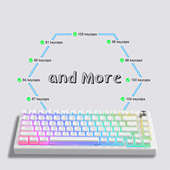 客制化双皮奶165键 OEM高度正刻透光键帽PBT创意个性 XVX 布丁