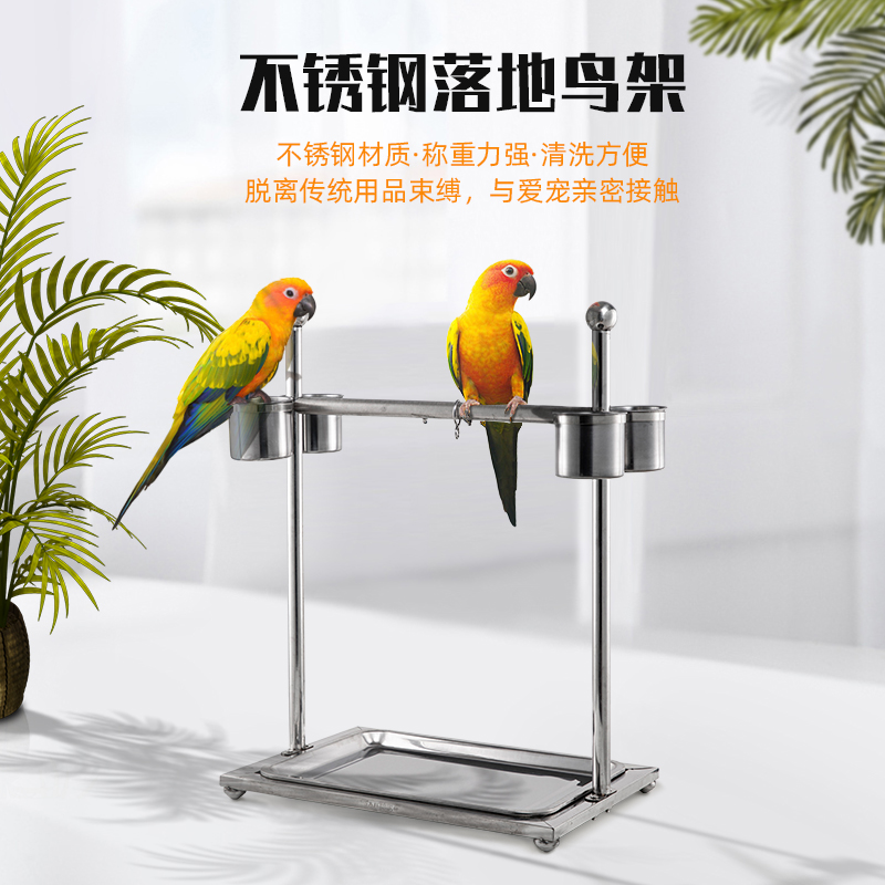 鹦鹉鸟架子不锈钢站笼站架鹩哥玄凤大型鹦鹉鸟笼子八哥脚链站杆