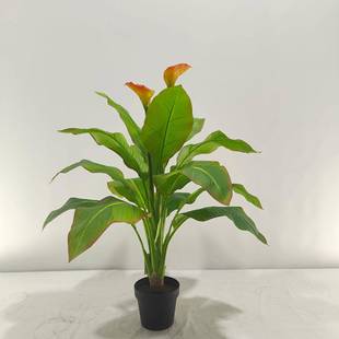 大型真大仿叶子植008芭蕉树装饰生绿植室内仿造景高端物摆件招财