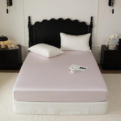 高端莱赛床尔纤维天丝笠件冰丝全包床罩单席梦思床垫ELL护保套裸