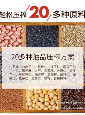 自家家用PUO全不锈钢花生菜瓜子籽榨油机电动小型庭商用冷热榨全