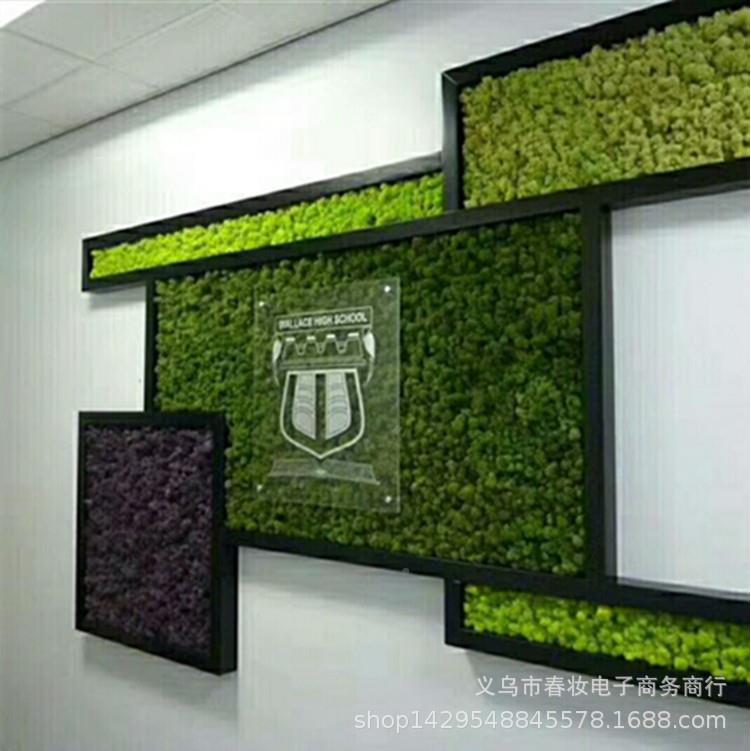 永苔仿真假苔藓藓仿真苔植物墙藓造景RSA装生饰微景观植物