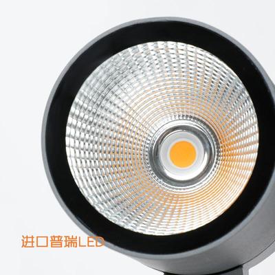 园照树灯户外水插地防灯足率民宿功花地射灯插灯景观投光灯