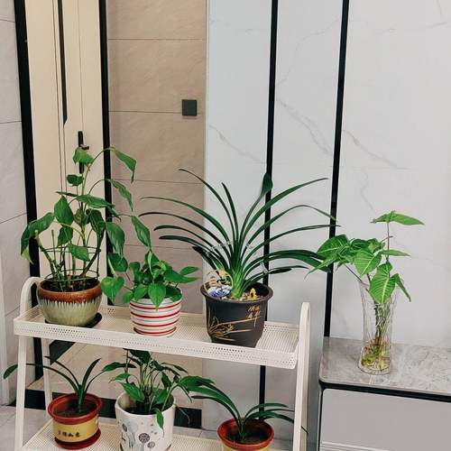 阳台花架置物架VDF可移动落式多层植轮物多肉花架阶式铁艺地带梯