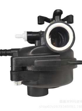 新款直销百利通化油器适用799583 594058 799584 590556 591979 5