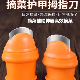 采茶叶神器摘花椒专用手套采摘铁指甲套摘菜器摘豆角摘菜拇指刀