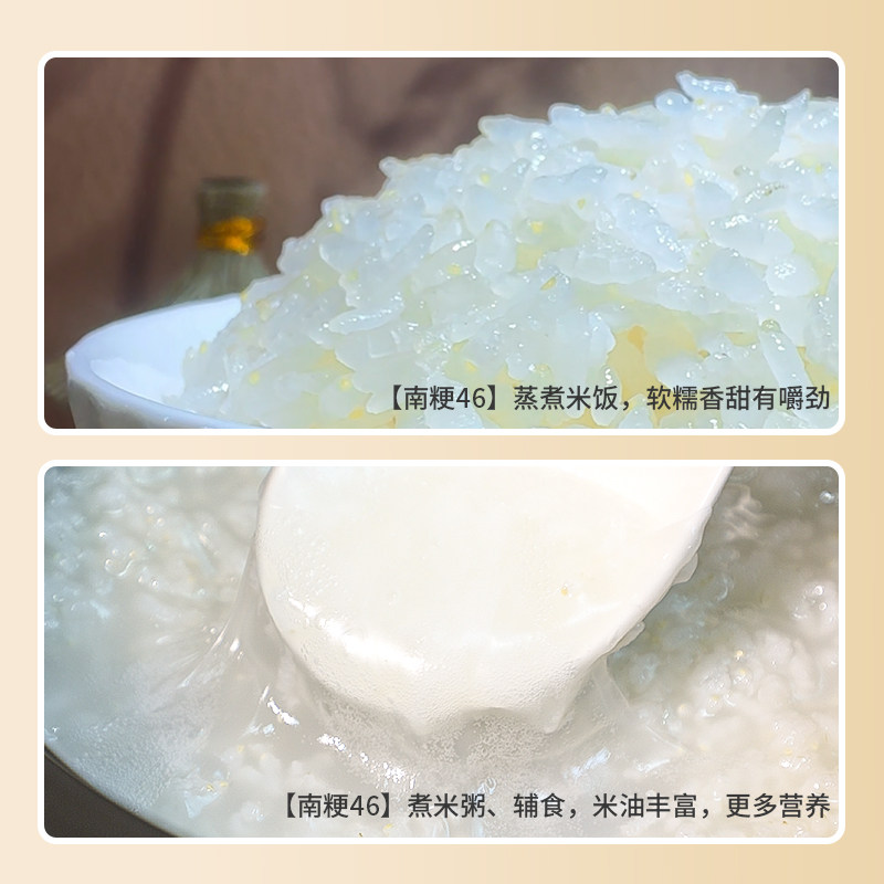 苏通绿禾南粳46大米胚芽米农家米