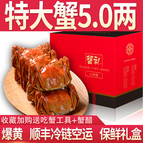 苏州活蟹鲜活大闸蟹现货螃蟹特大全母蟹公蟹中秋送礼佳品