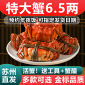 苏州活蟹鲜活大闸蟹现货螃蟹特大全母蟹公蟹阳澄海鲜水产湖鲜礼盒