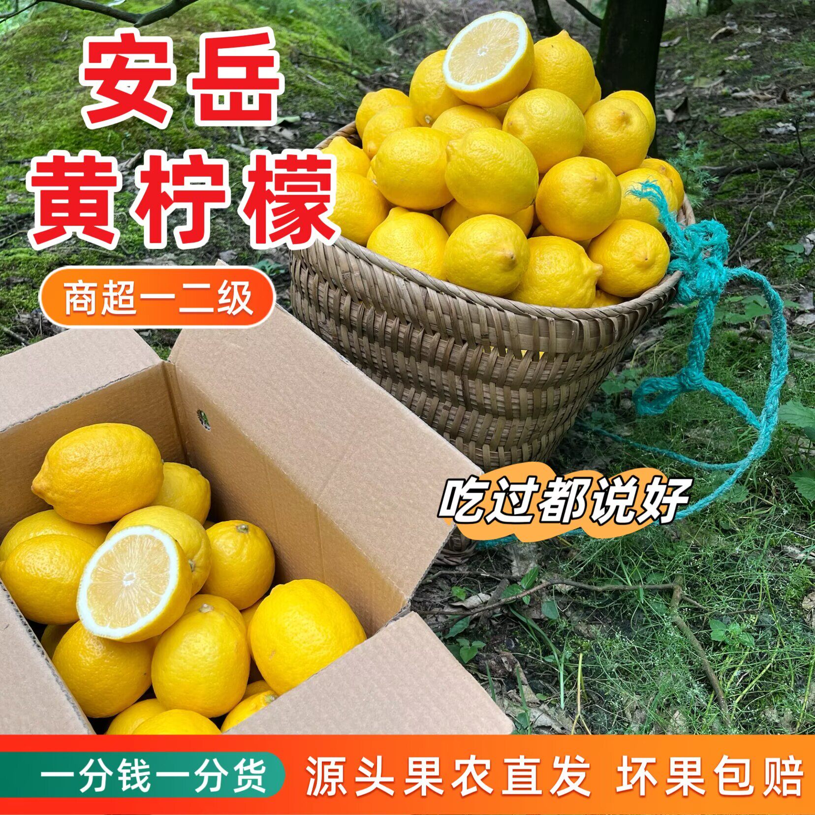 农家精品*四川安岳黄柠檬农家产地果肉饱满柠香浓郁新鲜酸爽多汁