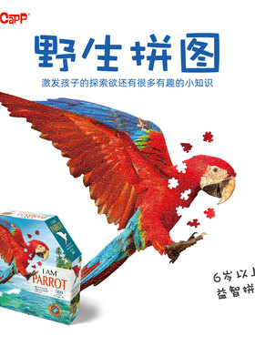 美国MADDCAPP益智拼图高难度成人解压潮玩300片异形