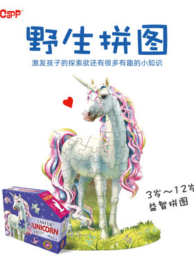 美国MADDCAPP2到3岁3岁到6岁以上益智儿童宝宝早教玩具异形拼图