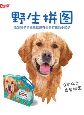 美国MADDCAPP2到3岁早教儿童益智拼图宝宝男女孩24片异形拼图玩具