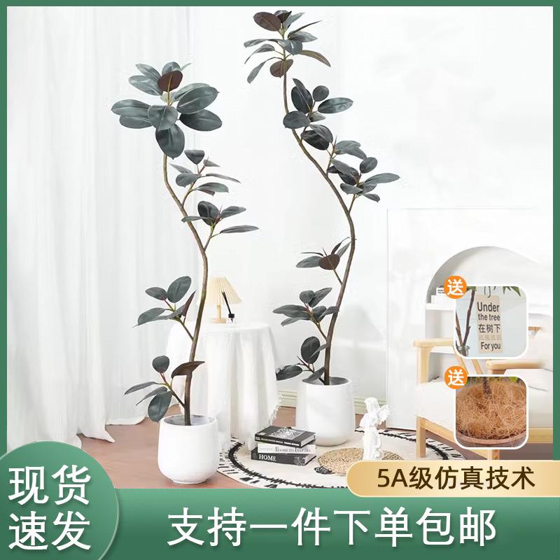 黑金刚橡皮树仿真绿植高端轻奢客厅摆件大型落地绿叶榕仿生假植物