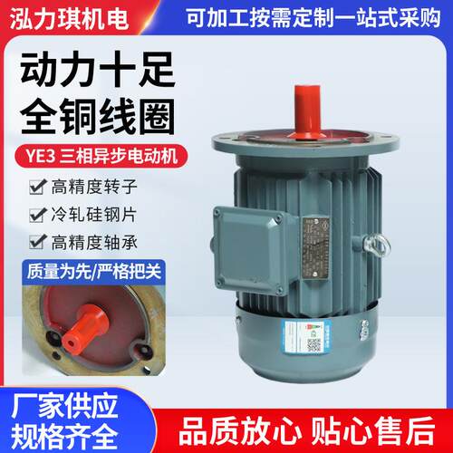 YE5 一级能效三相异步电动机铜芯马达电机 380V